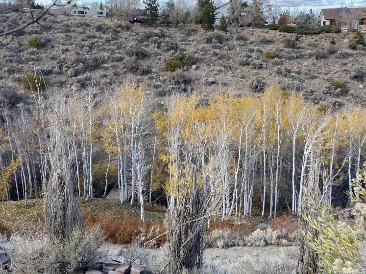 4775 Mount Rose, Reno, Nevada 89511, 4 Bedrooms Bedrooms, ,4 BathroomsBathrooms,Residential,Residential,Mount Rose,250005047