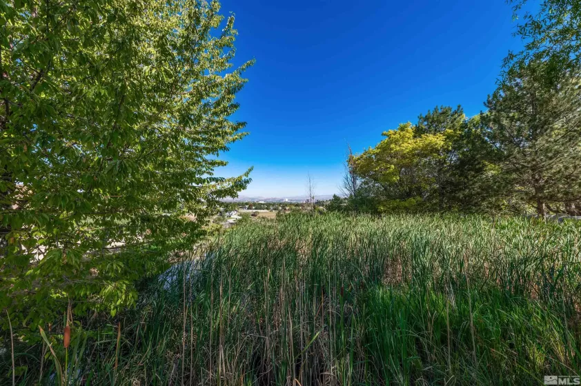 2490 Faretto, Reno, Nevada 89511, ,Land,Residential,Faretto,240014827