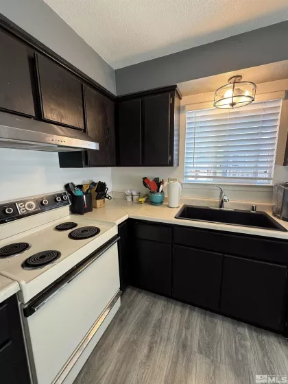 737 Hornet, Gardnerville, Nevada 89460, 3 Bedrooms Bedrooms, ,2 BathroomsBathrooms,Residential,Residential,Hornet,250006082