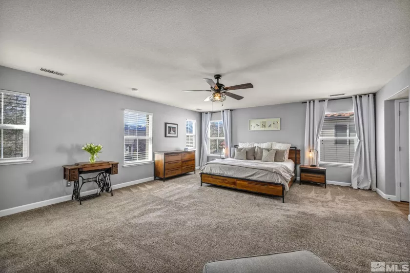 485 Sondrio, Reno, Nevada 89521, 4 Bedrooms Bedrooms, ,3 BathroomsBathrooms,Residential,Residential,Sondrio,250004390