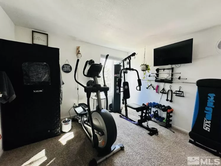 3940 Pheasant, Carson City, Nevada 89701, 3 Bedrooms Bedrooms, ,3 BathroomsBathrooms,Residential,Residential,Pheasant,250003780