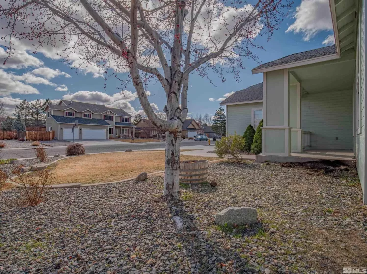 2976 Del Rio, Minden, Nevada 89423, 3 Bedrooms Bedrooms, ,2 BathroomsBathrooms,Residential,Residential,Del Rio,250003526