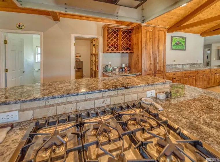 5365 Eastlake, Washoe Valley, Nevada 89704, 5 Bedrooms Bedrooms, ,4 BathroomsBathrooms,Residential,Residential,Eastlake,250006114