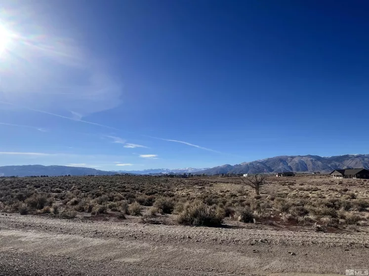 260 Mount Grant, Smith, Nevada 89430, ,Land,Residential,Mount Grant,250000167