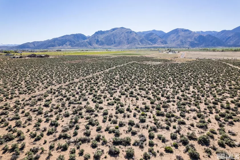 16 Hawk View, Wellington, Nevada 89444, ,Land,Residential,Hawk View,250006146