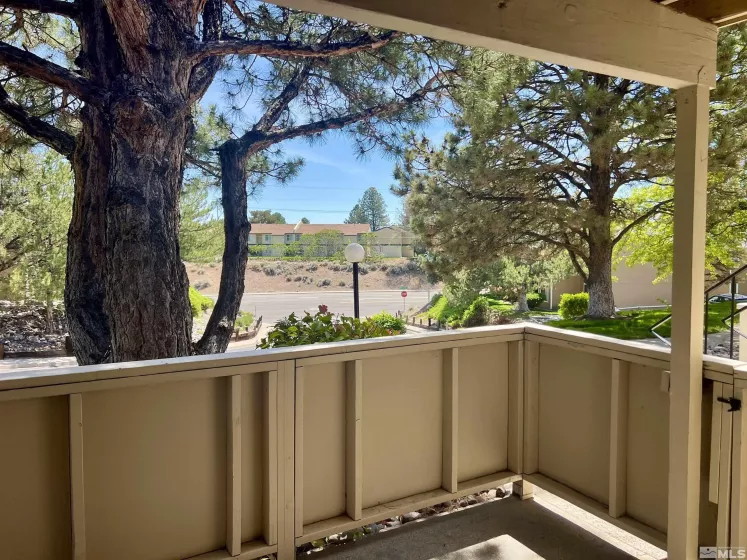 3865 Leonesio, Reno, Nevada 89512, 2 Bedrooms Bedrooms, ,1 BathroomBathrooms,Residential,Residential,Leonesio,250006188