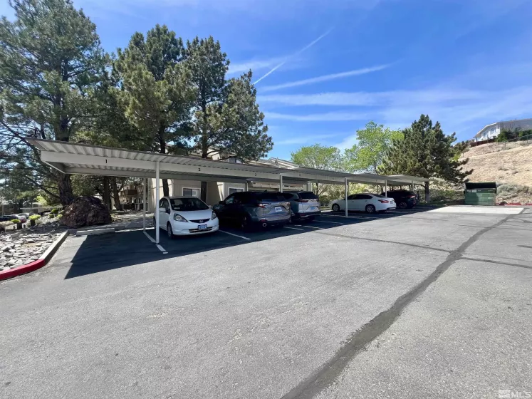 3865 Leonesio, Reno, Nevada 89512, 2 Bedrooms Bedrooms, ,1 BathroomBathrooms,Residential,Residential,Leonesio,250006188