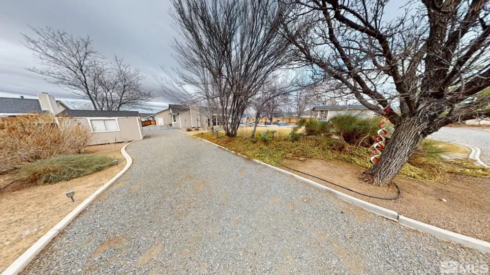 Side yard