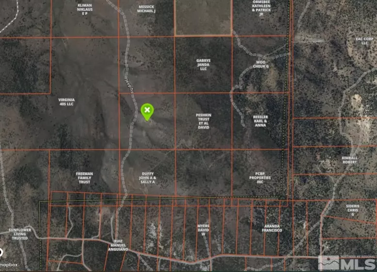 APN 016-740-10, Reno, Nevada 89521, ,Land,Residential,016-740-10,250004996