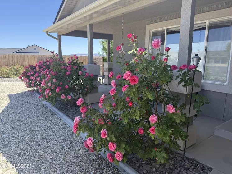 921 Red Rock, Fernley, Nevada 89408, 4 Bedrooms Bedrooms, ,2 BathroomsBathrooms,Residential,Residential,Red Rock,250005931