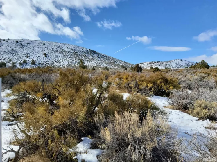 Reno, Nevada 89510, ,Land,Residential,250002178