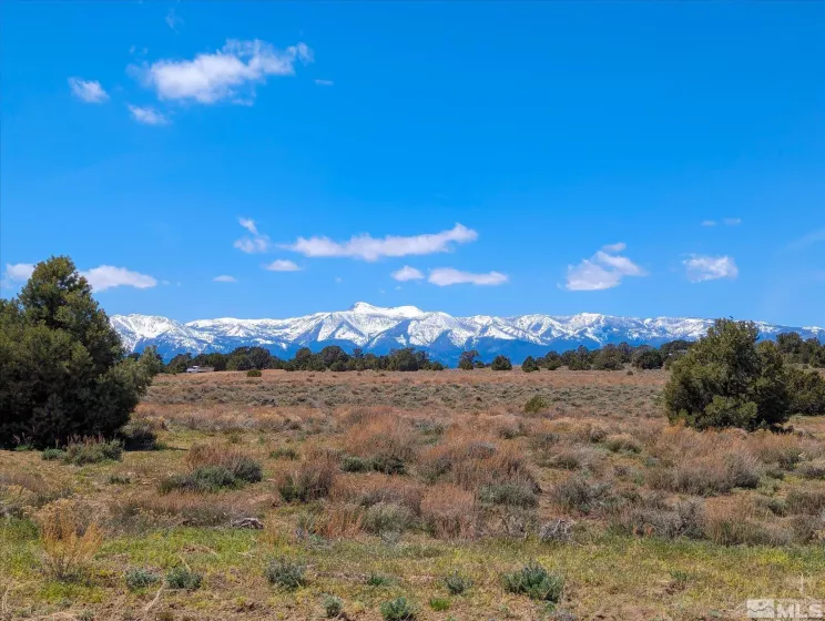 140 Toll, Reno, Nevada 89521, ,Land,Residential,Toll,240005397