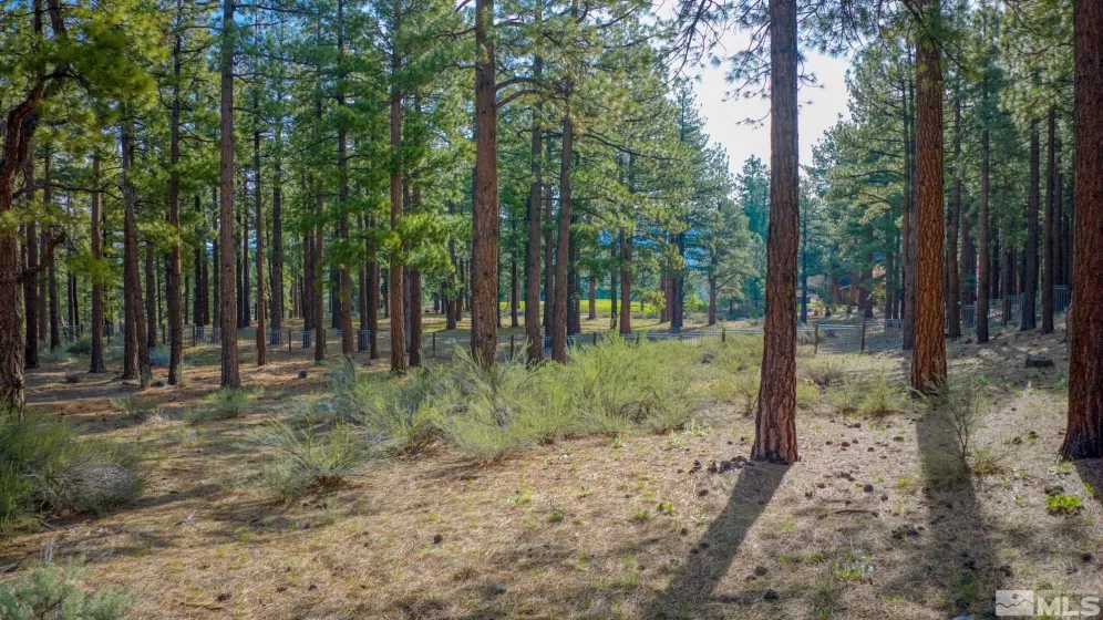 22 Rose Creek, Reno, Nevada 89511, ,Land,Residential,Rose Creek,240005742