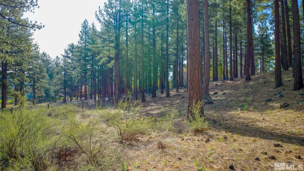 22 Rose Creek, Reno, Nevada 89511, ,Land,Residential,Rose Creek,240005742
