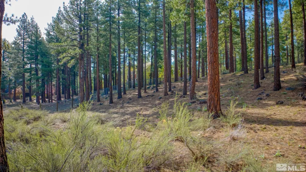 22 Rose Creek, Reno, Nevada 89511, ,Land,Residential,Rose Creek,240005742