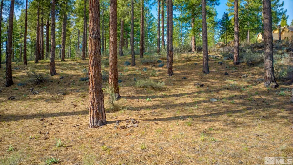 22 Rose Creek, Reno, Nevada 89511, ,Land,Residential,Rose Creek,240005742