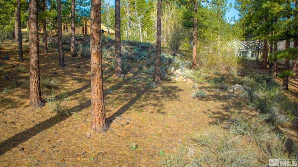 22 Rose Creek, Reno, Nevada 89511, ,Land,Residential,Rose Creek,240005742