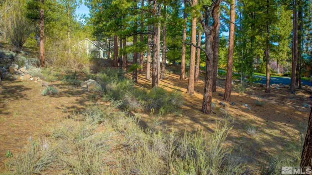 22 Rose Creek, Reno, Nevada 89511, ,Land,Residential,Rose Creek,240005742