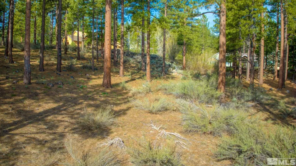 22 Rose Creek, Reno, Nevada 89511, ,Land,Residential,Rose Creek,240005742