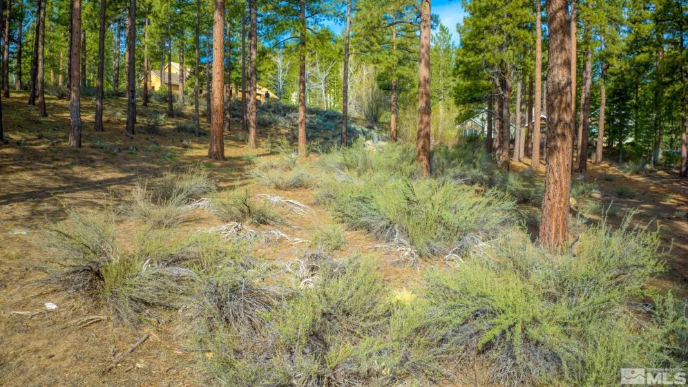 22 Rose Creek, Reno, Nevada 89511, ,Land,Residential,Rose Creek,240005742