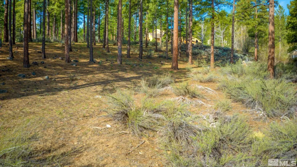 22 Rose Creek, Reno, Nevada 89511, ,Land,Residential,Rose Creek,240005742