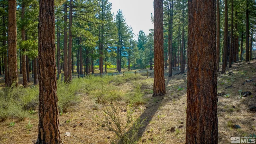 22 Rose Creek, Reno, Nevada 89511, ,Land,Residential,Rose Creek,240005742