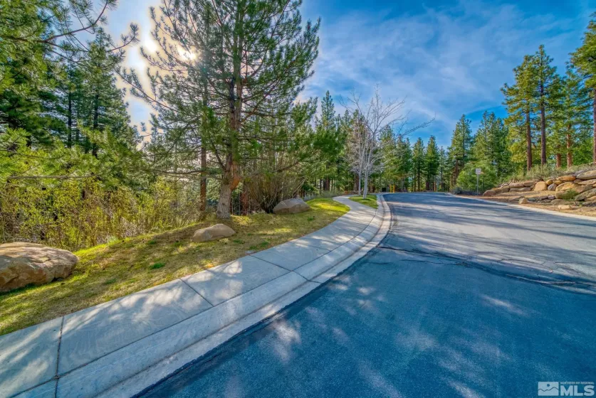 22 Rose Creek, Reno, Nevada 89511, ,Land,Residential,Rose Creek,240005742