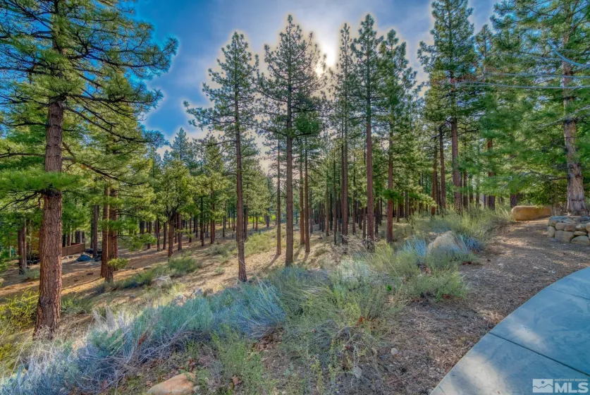 22 Rose Creek, Reno, Nevada 89511, ,Land,Residential,Rose Creek,240005742