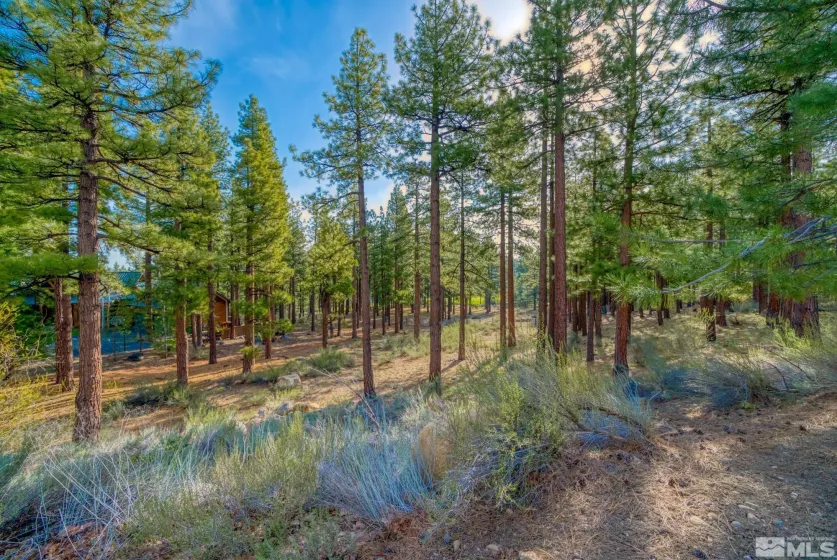 22 Rose Creek, Reno, Nevada 89511, ,Land,Residential,Rose Creek,240005742
