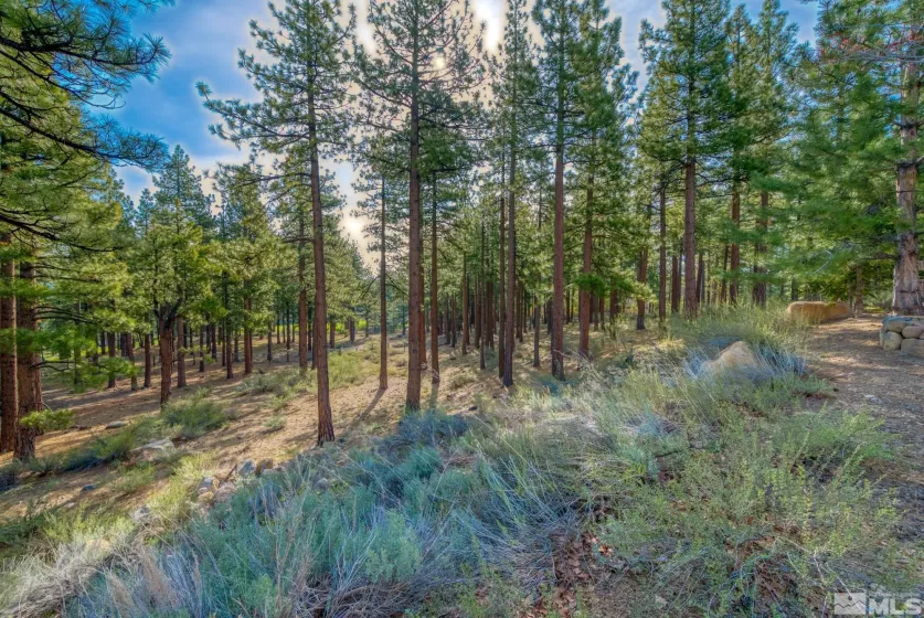 22 Rose Creek, Reno, Nevada 89511, ,Land,Residential,Rose Creek,240005742