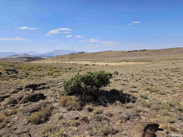 80 Rodero, Reno, Nevada 89510, ,Land,Residential,Rodero,240012659