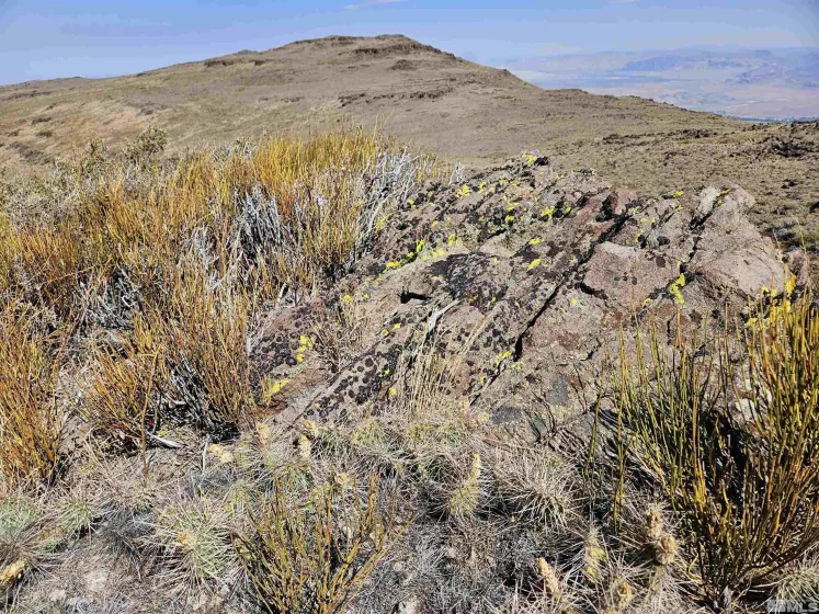 80 Rodero, Reno, Nevada 89510, ,Land,Residential,Rodero,240012659