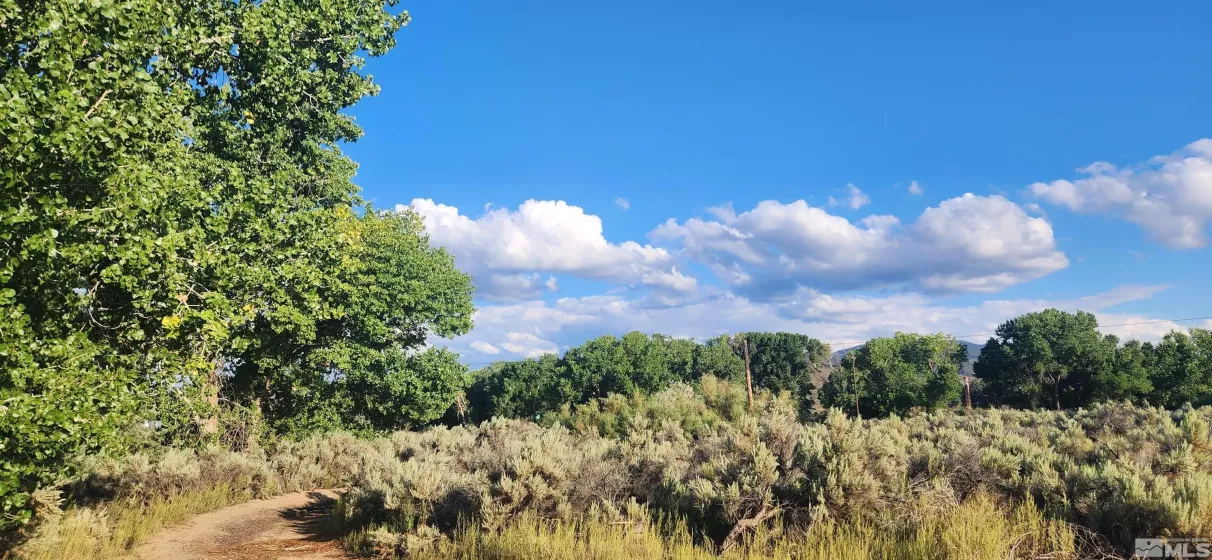 5155 Hwy 50, Carson City, Nevada 89701, ,Land,Residential,Hwy 50,210012394