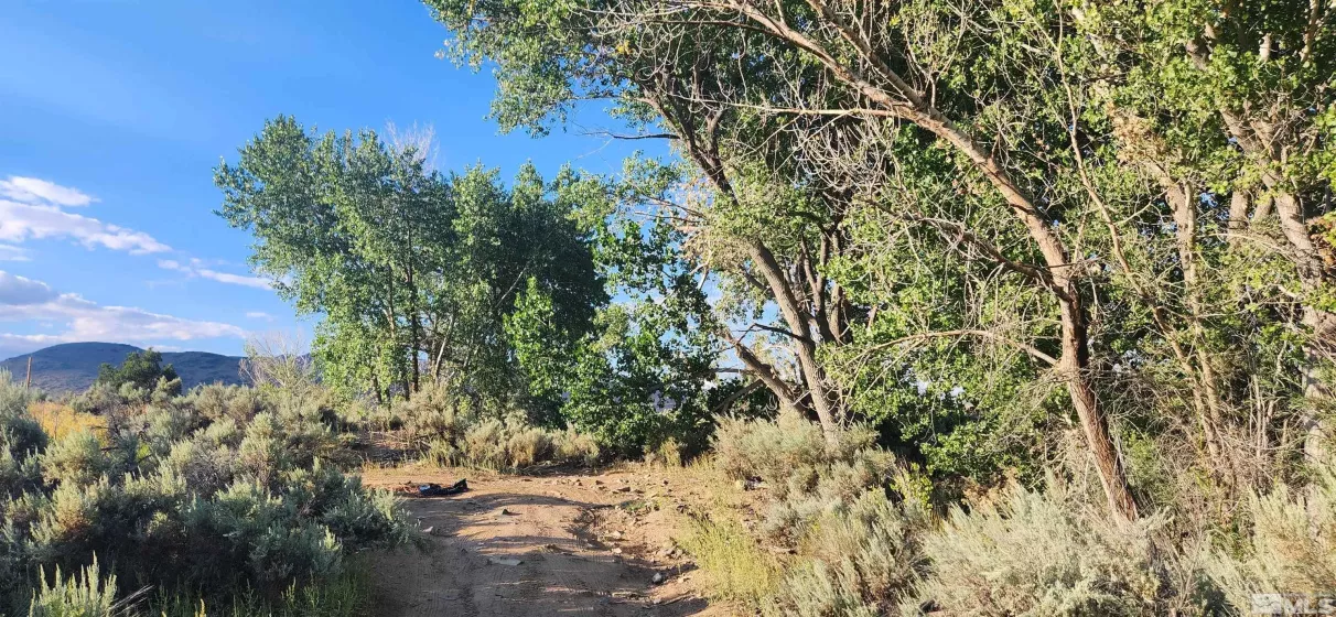 5155 Hwy 50, Carson City, Nevada 89701, ,Land,Residential,Hwy 50,210012394