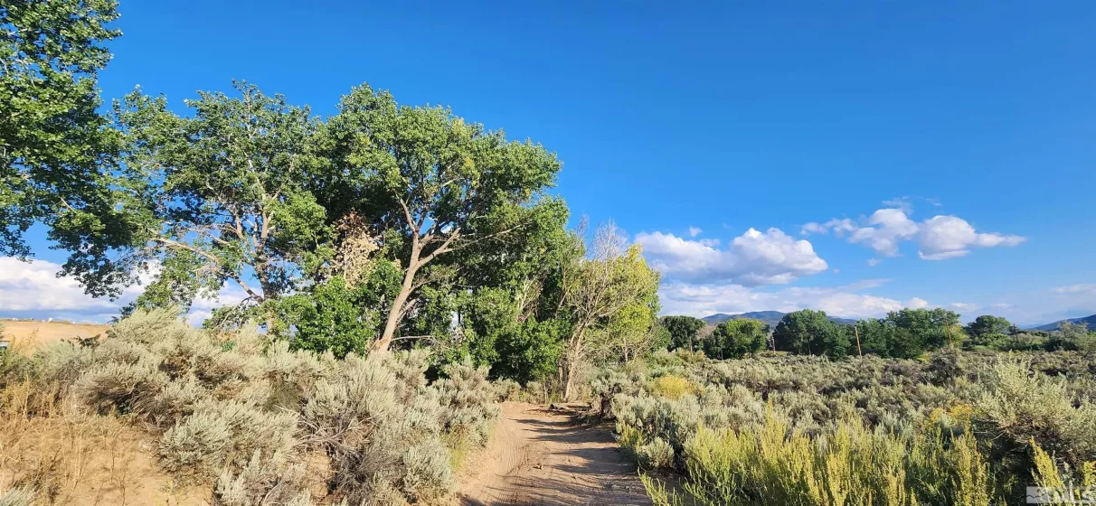 5155 Hwy 50, Carson City, Nevada 89701, ,Land,Residential,Hwy 50,210012394