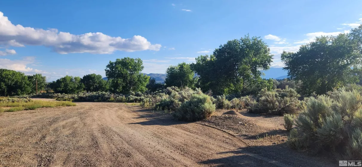 5155 Hwy 50, Carson City, Nevada 89701, ,Land,Residential,Hwy 50,210012394