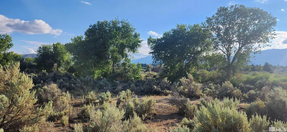 5155 Hwy 50, Carson City, Nevada 89701, ,Land,Residential,Hwy 50,210012394