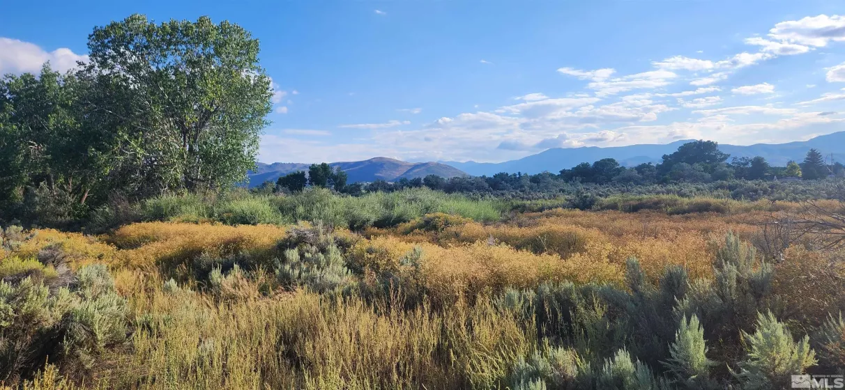 5155 Hwy 50, Carson City, Nevada 89701, ,Land,Residential,Hwy 50,210012394