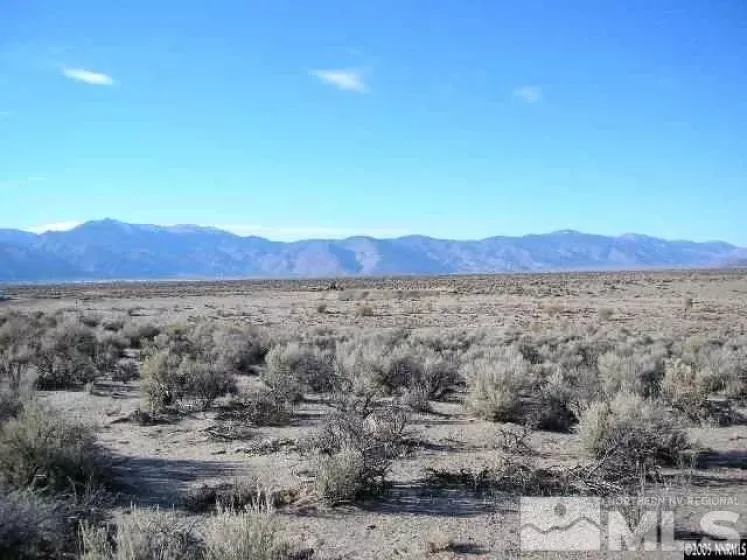 325 Ludwig, Smith, Nevada 89430, ,Land,Residential,Ludwig,210008234
