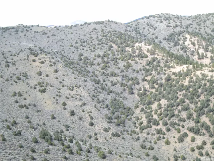 00430124 Mount Davidson, Virginia City, Nevada 89440, ,Land,Residential,Mount Davidson,230010883