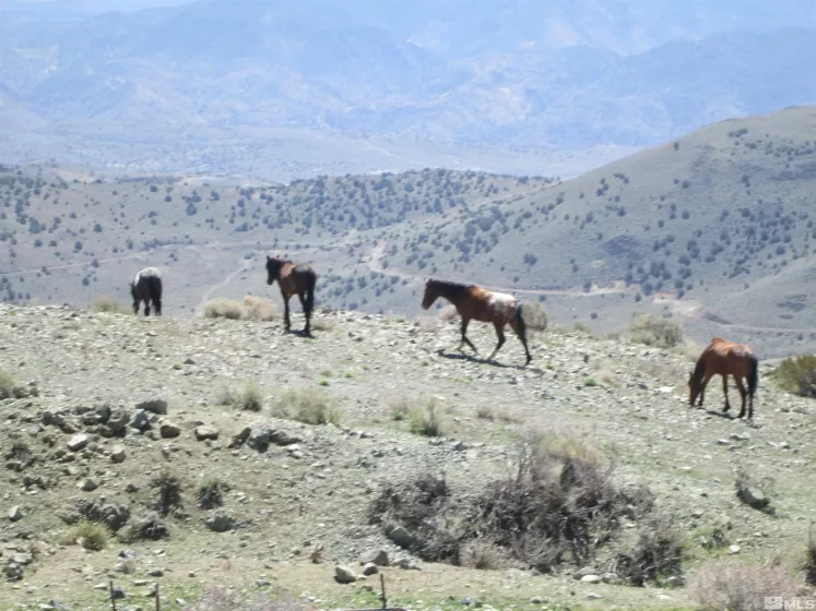 00430124 Mount Davidson, Virginia City, Nevada 89440, ,Land,Residential,Mount Davidson,230010883