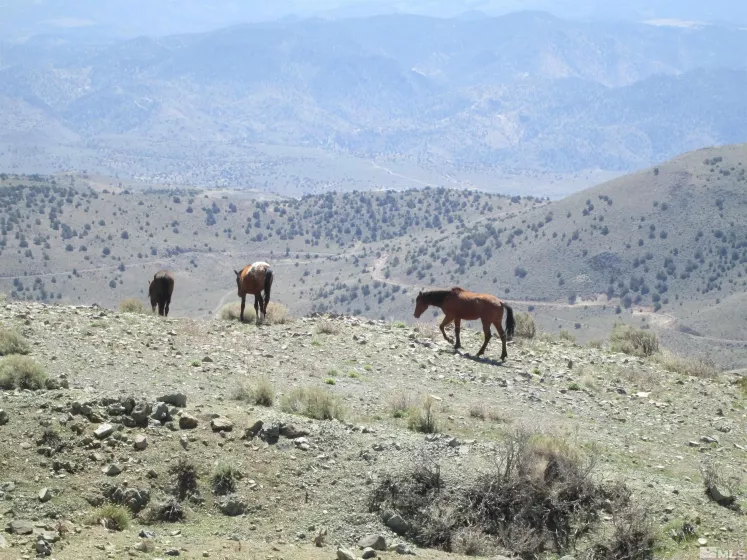 00430124 Mount Davidson, Virginia City, Nevada 89440, ,Land,Residential,Mount Davidson,230010883