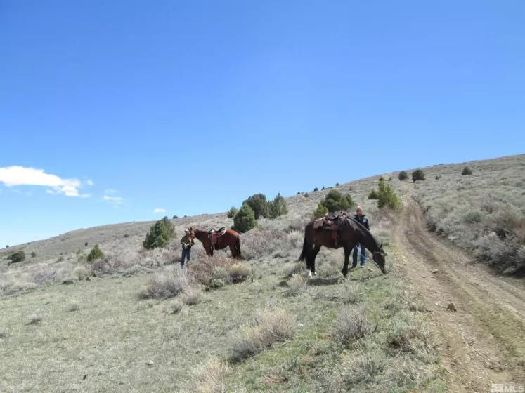 00430124 Mount Davidson, Virginia City, Nevada 89440, ,Land,Residential,Mount Davidson,230010883
