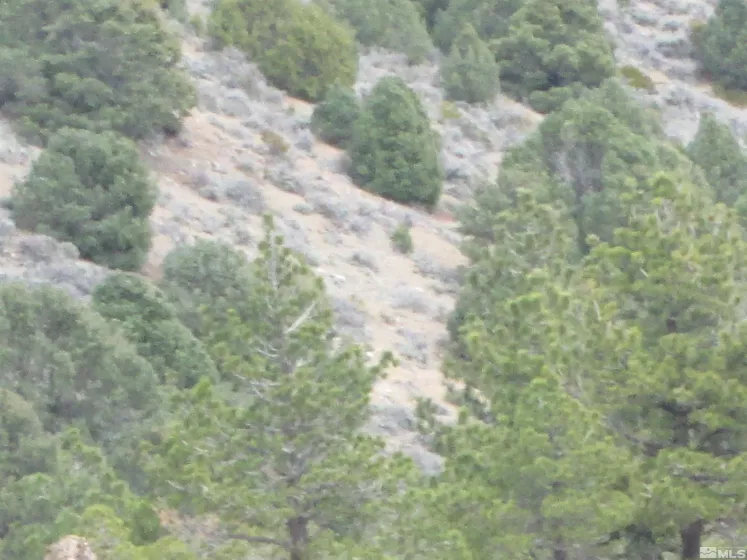 00430124 Mount Davidson, Virginia City, Nevada 89440, ,Land,Residential,Mount Davidson,230010883