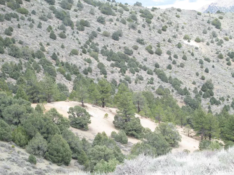 00430124 Mount Davidson, Virginia City, Nevada 89440, ,Land,Residential,Mount Davidson,230010883