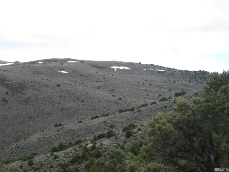 00430124 Mount Davidson, Virginia City, Nevada 89440, ,Land,Residential,Mount Davidson,230010883