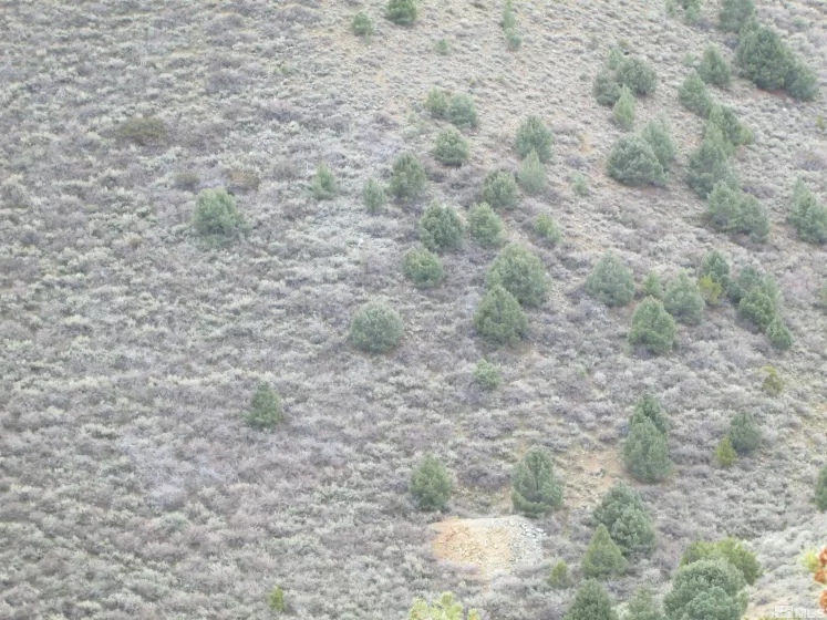 00430124 Mount Davidson, Virginia City, Nevada 89440, ,Land,Residential,Mount Davidson,230010883