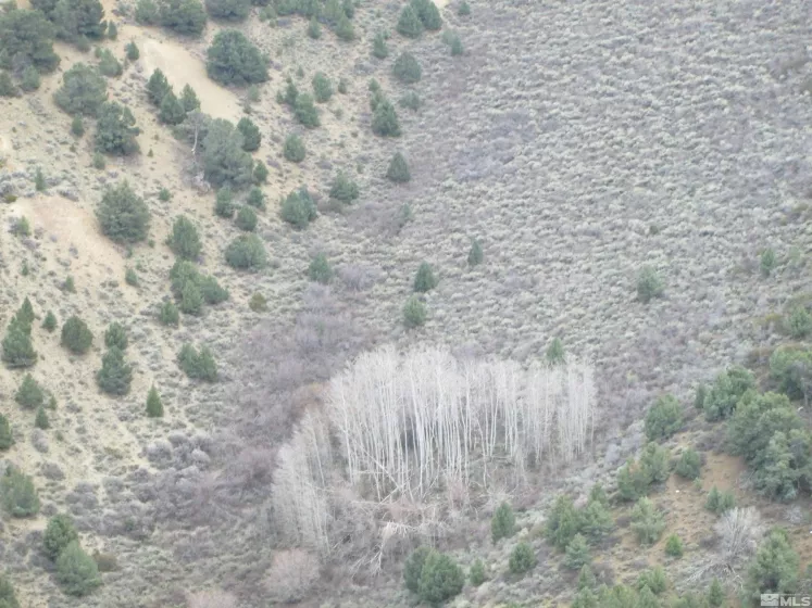 00430124 Mount Davidson, Virginia City, Nevada 89440, ,Land,Residential,Mount Davidson,230010883