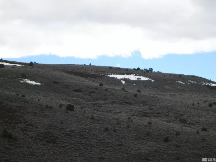 00430124 Mount Davidson, Virginia City, Nevada 89440, ,Land,Residential,Mount Davidson,230010883