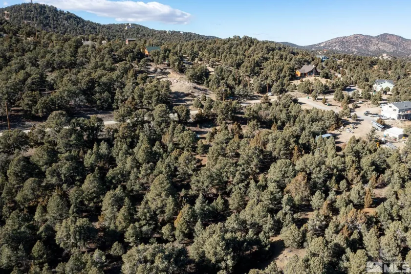 1791 Harte, Reno, Nevada 89521, ,Land,Residential,Harte,230009486